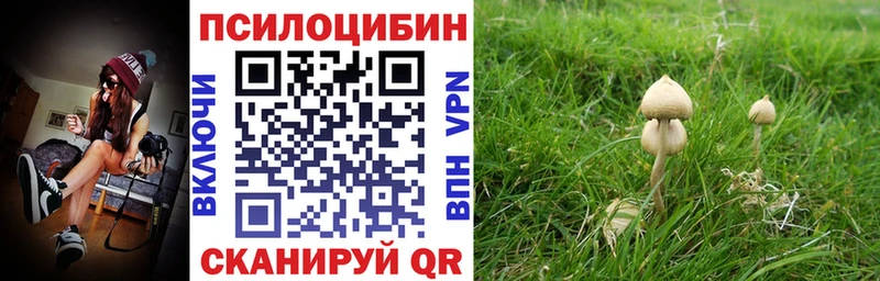 закладка  Старая Купавна  Галлюциногенные грибы Psilocybine cubensis 